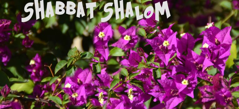 Shabbat and Shavuot Shalom