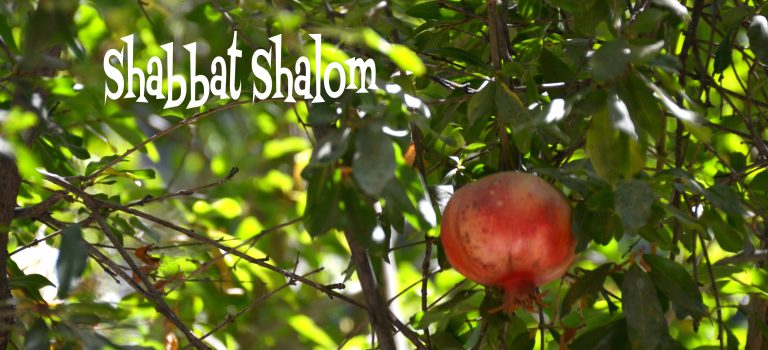 Shabbat Shalom – Let it Stay Calm