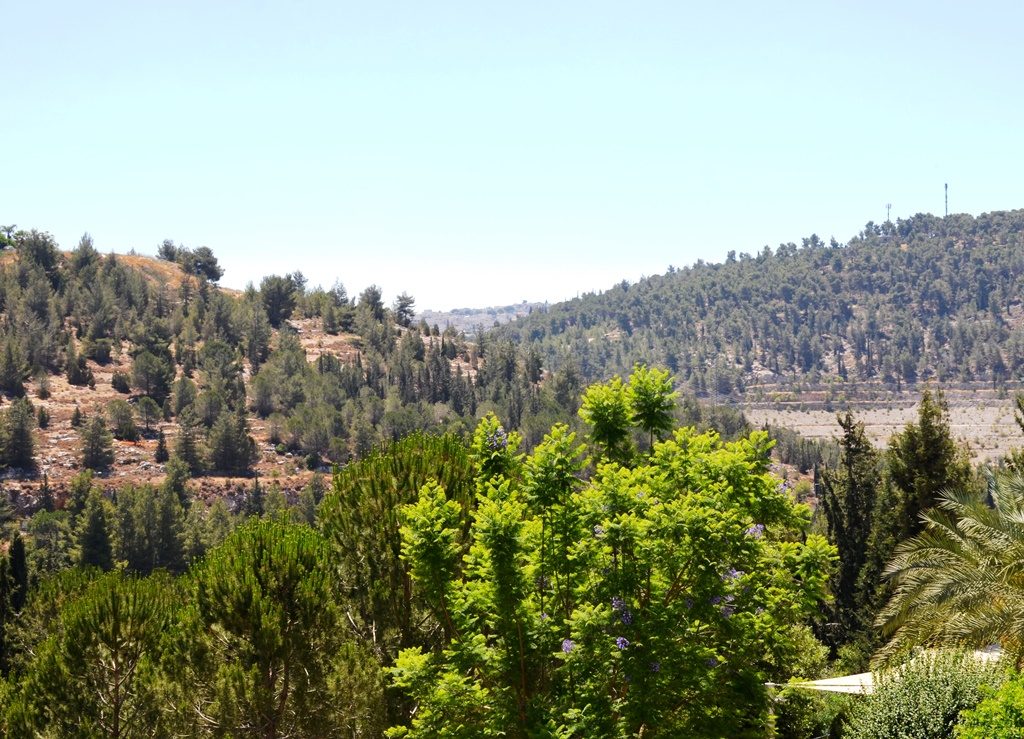 view from Hotel Yehudah Jerusalem Israel 