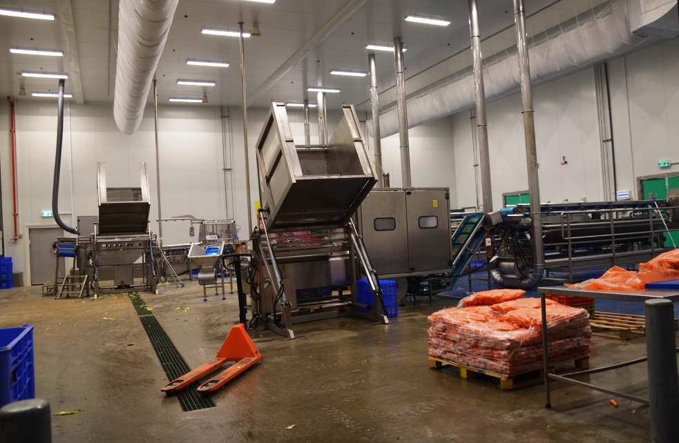 Work room in Hasslat packing plant for Gush Katif vegetables 