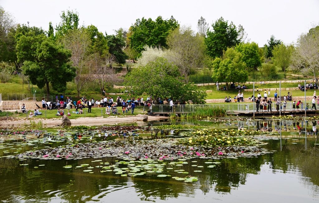 Botanical Gardens pond on Passover 