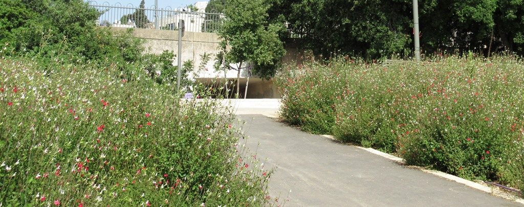 New landscaping along Jerusalem bike path