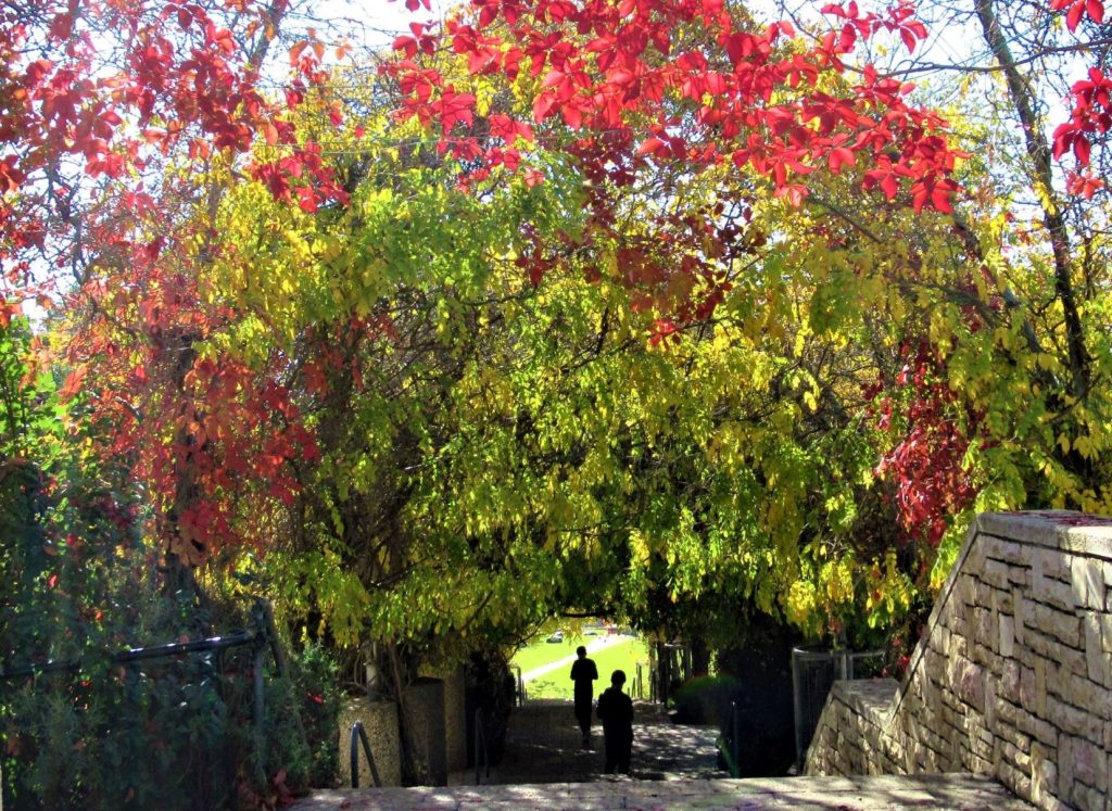 Jerusalem Liberty Bell Park autumn colors 