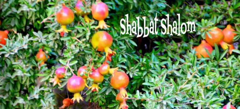 Shabbat Shalom and Shana Tova