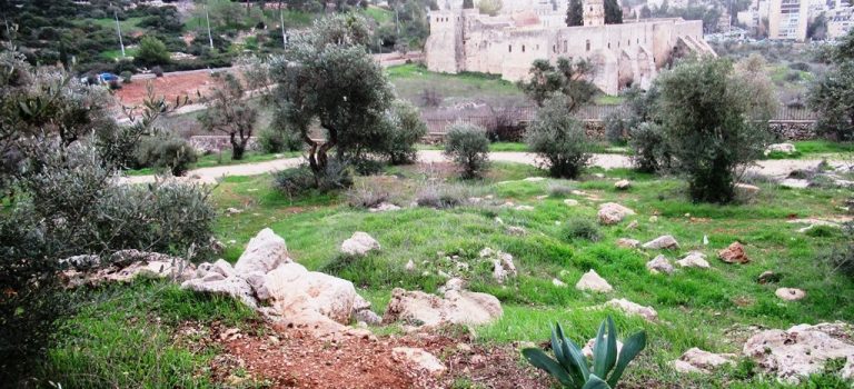 3 Suggestions to Enjoy Jerusalem in Stormy Weather