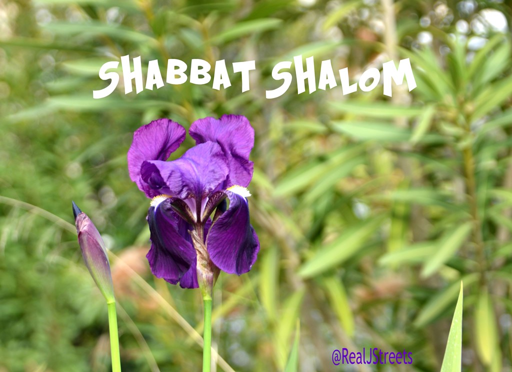 Shabbat Shalom Page 8 The Real Jerusalem Streets