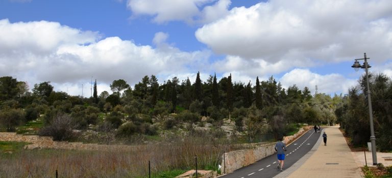 Jerusalem: Walk, Run, Ride, Skate and Eat